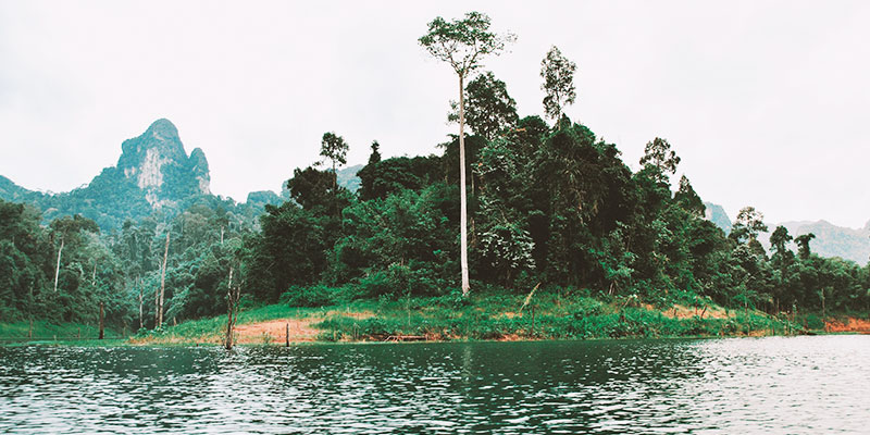 Khao Sok National Park