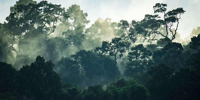 Khao Yai National Park